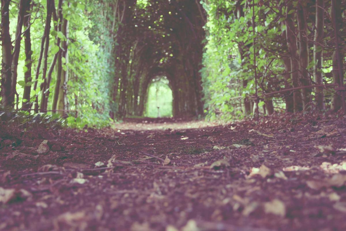 Banjir Bikin Dunia Rugi Ribuan Triliun, Indonesia Masuk Zona Merah!