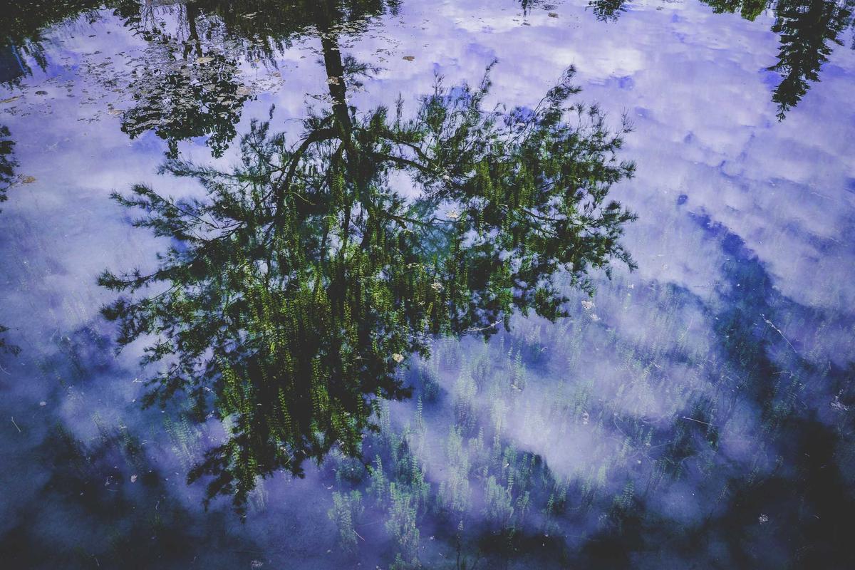 Data Terbaru: 10.400 Rumah Hancur Diterjang Banjir & Longsor Utara Sumatera