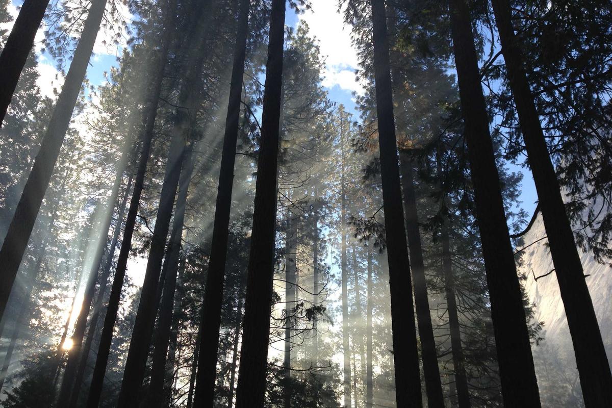 Data Terbaru: 10.400 Rumah Hancur Diterjang Banjir & Longsor Utara Sumatera