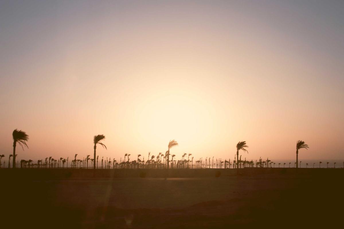 Fakta Terbaru Bencana Sumatra: Pengungsi Demam, Bau Bangkai Menyeruak