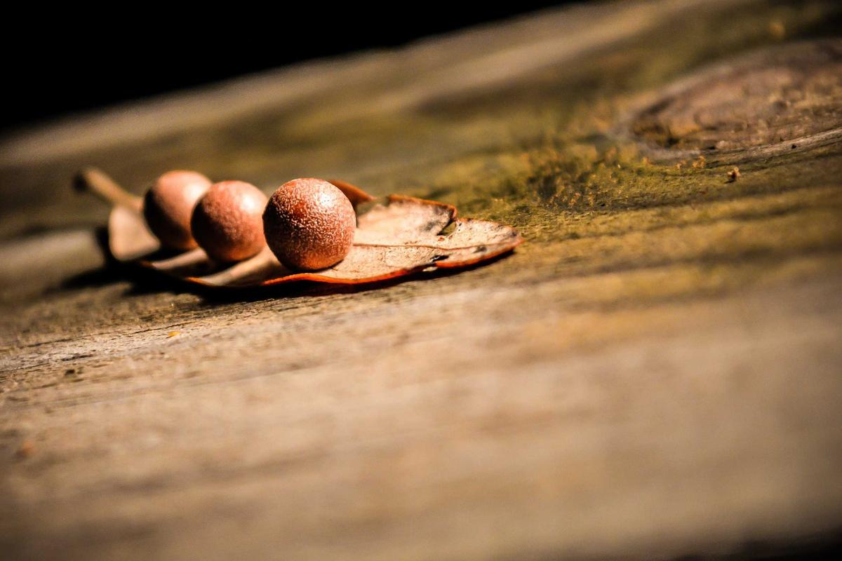 Update Terbaru Dampak Bencana Aceh-Sumatra: Korban Meninggal Dunia Capai Seribu Lebih