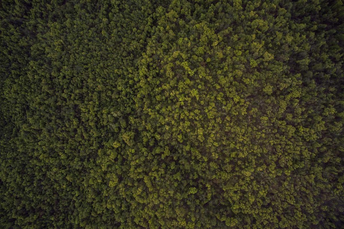 Bencana Alam Terus Memberikan Tekanan pada Pasar Asuransi Global