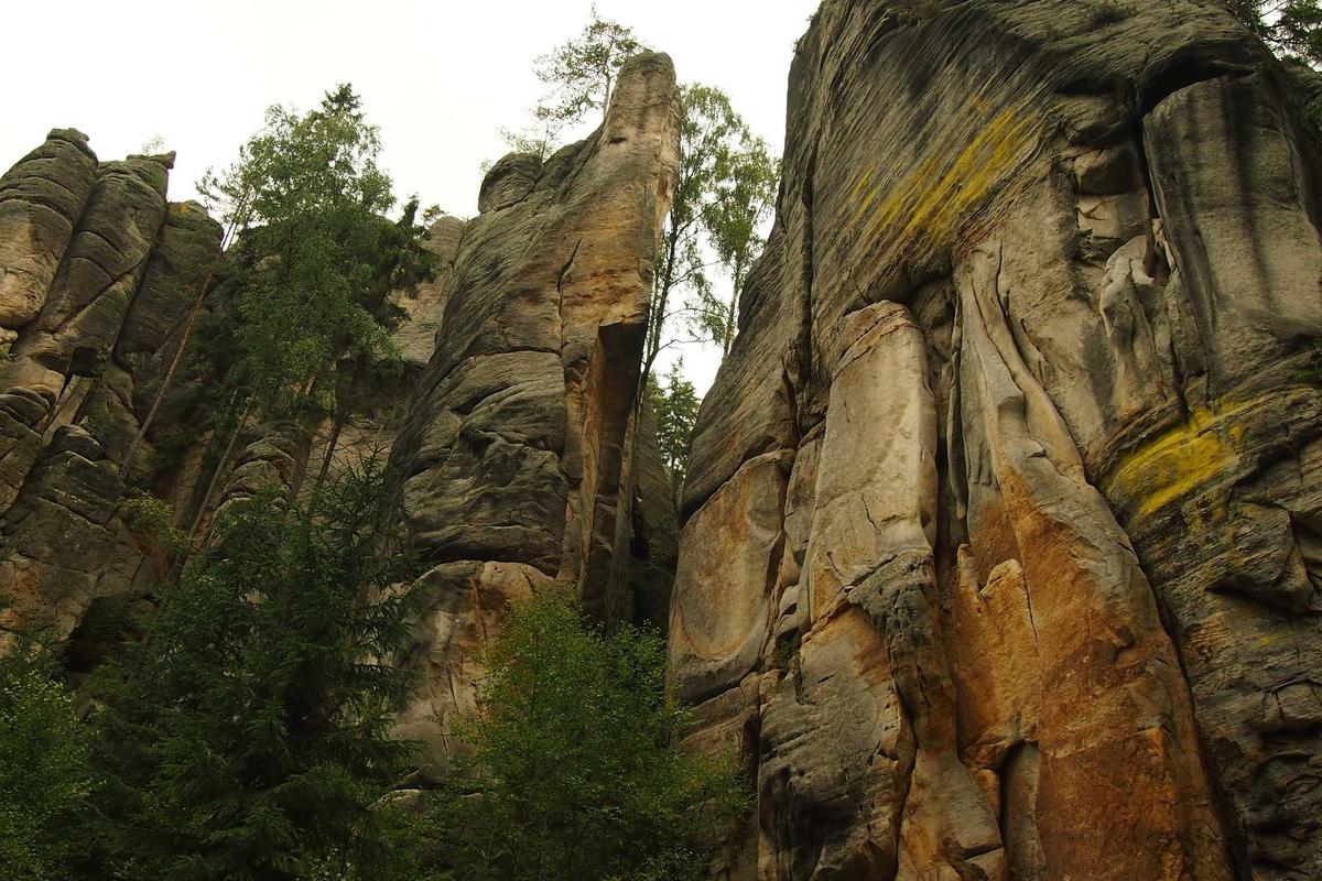 BNPB Catat Sejumlah Bencana Alam Terjadi di Berbagai Daerah hingga 15 Juni 2025