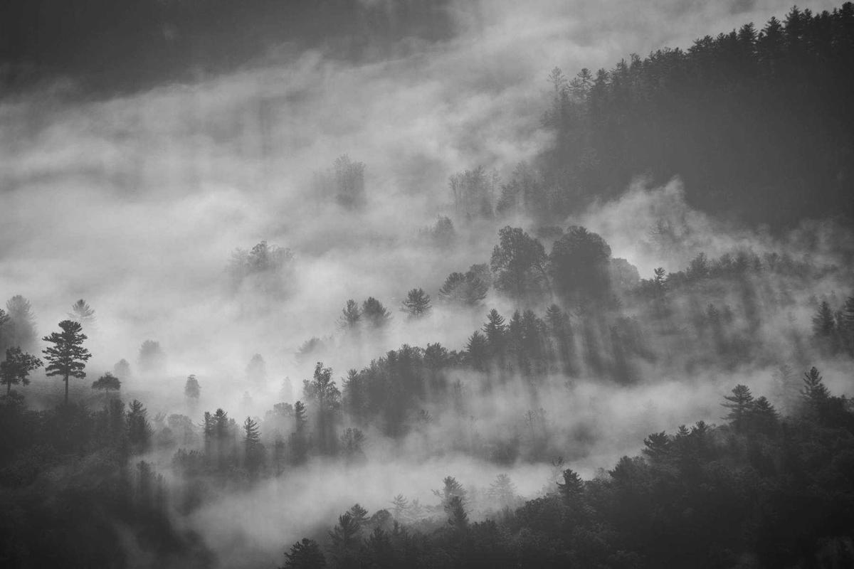 50% Sekolah Terpapar Lebih dari 1 Ancaman Bencana, Cek Panduan SPAB Terbaru di Sini