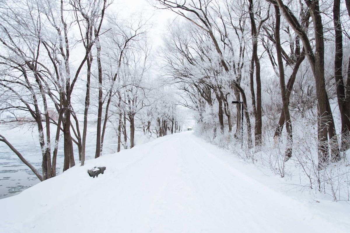 Gempa Bumi M5,1 – 94 km Tenggara JEMBER-JATIM – BMKG